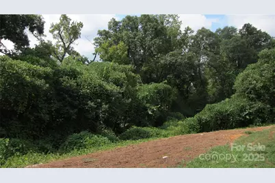 127 Hill Street, Mooresboro, NC 28114 - Photo 17