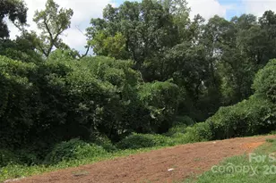 127 Hill St, Mooresboro, NC 28114 - Photo 17