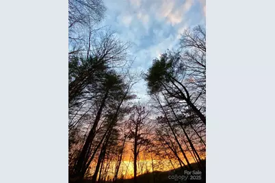 239 Three Mile Knob Road, Pisgah Forest, NC 28768 - Photo 9