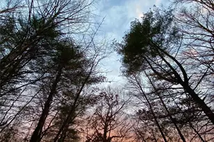 239 Three Mile Knob Rd, Pisgah Forest, NC 28768 - Photo 9