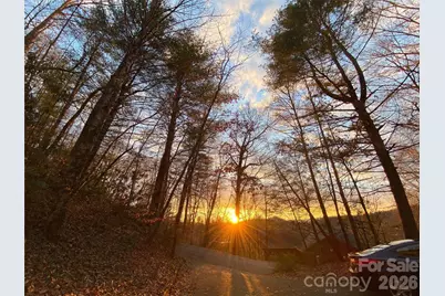 239 Three Mile Knob Road, Pisgah Forest, NC 28768 - Photo 7
