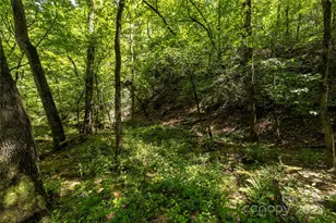 0 Pageland Hwy, Lancaster, SC 29720 - Photo 13