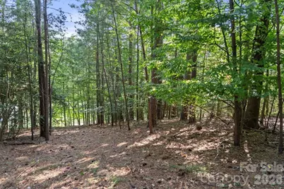 9178 Fair Oak Drive, Sherrills Ford, NC 28673 - Photo 7