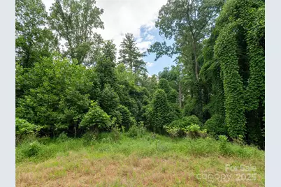 0 Willow Falls Lane, Hendersonville, NC 28792 - Photo 3