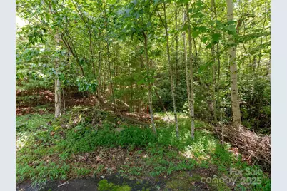0 Willow Falls Lane, Hendersonville, NC 28792 - Photo 13