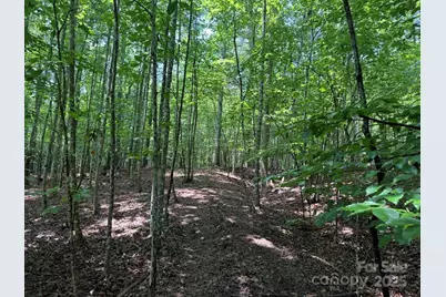 00 Hundred Acres Lane, Lenoir, NC 28645 - Photo 17