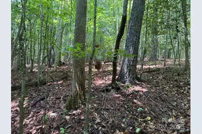 00 Hundred Acres Lane, Lenoir, NC 28645 - Photo 3