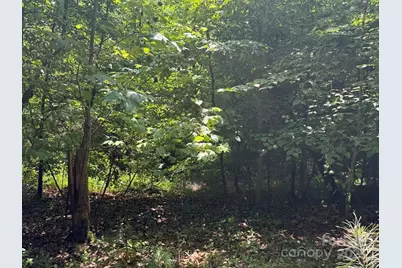 00 Hundred Acres Lane, Lenoir, NC 28645 - Photo 5