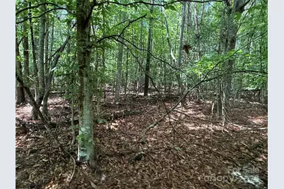 00 Hundred Acres Lane, Lenoir, NC 28645 - Photo 11