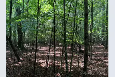 00 Hundred Acres Lane, Lenoir, NC 28645 - Photo 9