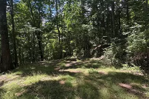 0000 Wheeler Hills Rd, Burnsville, NC 28714 - Photo 9