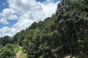 0000 Wheeler Hills Rd, Burnsville, NC 28714 - Photo 5