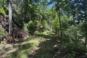 0000 Wheeler Hills Rd, Burnsville, NC 28714 - Photo 7