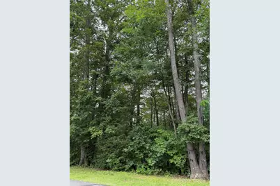 Lot #35 Damselfly Court, Spruce Pine, NC 28777 - Photo 9