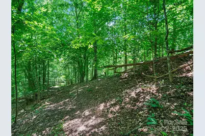 1377 Langford Branch Road, Burnsville, NC 28714 - Photo 23