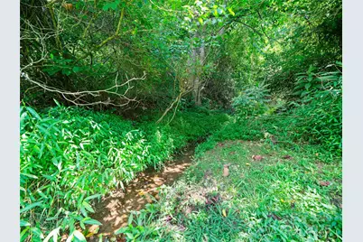 1377 Langford Branch Road, Burnsville, NC 28714 - Photo 7