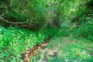 1377 Langford Branch Rd, Burnsville, NC 28714 - Photo 7