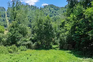 1377 Langford Branch Rd, Burnsville, NC 28714 - Photo 33