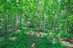 1377 Langford Branch Rd, Burnsville, NC 28714 - Photo 25