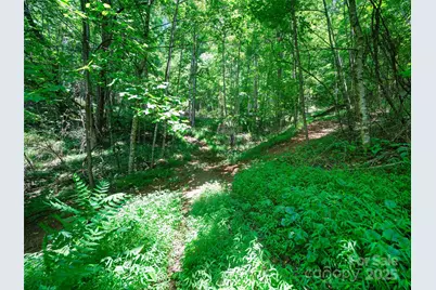 1377 Langford Branch Road, Burnsville, NC 28714 - Photo 19
