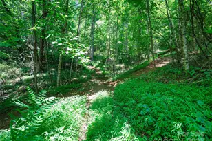 1377 Langford Branch Rd, Burnsville, NC 28714 - Photo 19