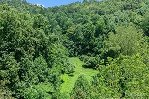 1377 Langford Branch Rd, Burnsville, NC 28714 - Photo 3