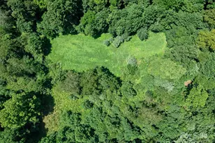 1377 Langford Branch Rd, Burnsville, NC 28714 - Photo 15