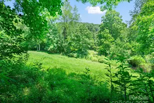 1377 Langford Branch Rd, Burnsville, NC 28714 - Photo 13