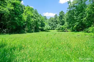 1377 Langford Branch Rd, Burnsville, NC 28714 - Photo 17