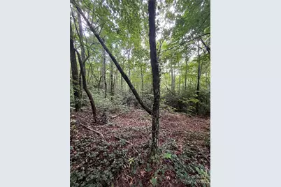 000 Greenleaf Drive, Flat Rock, NC 28731 - Photo 1