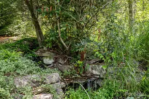 194 Bear Creek Dr, Fletcher, NC 28732 - Photo 5