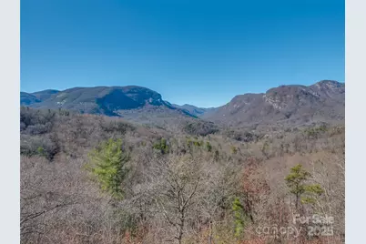 315 Thomas A Edison Road, Lake Lure, NC 28746 - Photo 3