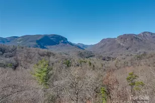 315 Thomas A Edison Rd, Lake Lure, NC 28746 - Photo 3