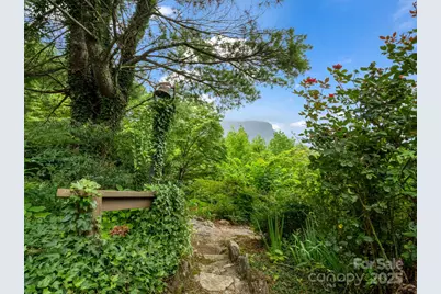 315 Thomas A Edison Road, Lake Lure, NC 28746 - Photo 43