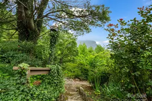 315 Thomas A Edison Rd, Lake Lure, NC 28746 - Photo 43