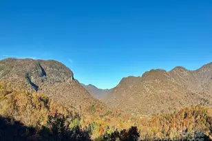 315 Thomas A Edison Rd, Lake Lure, NC 28746 - Photo 47