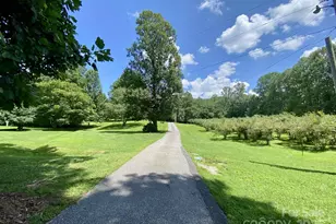 163 Gypsy Mountain Rd, Marion, NC 28752 - Photo 43