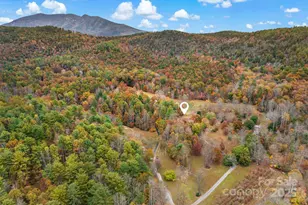 163 Gypsy Mountain Rd, Marion, NC 28752 - Photo 33