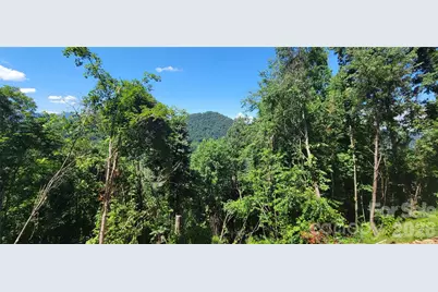 36 Destination Drive, Waynesville, NC 28786 - Photo 3