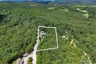 202 Panorama Dr, Nebo, NC 28761 - Photo 9