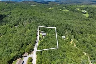 202 Panorama Dr, Nebo, NC 28761 - Photo 11