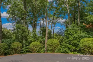 321 Sunset Point Rd, Burnsville, NC 28714 - Photo 41