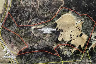 71 Banks Creek Rd, Burnsville, NC 28714 - Photo 19