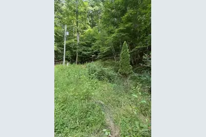 0 Cane Mountain Lane, Burnsville, NC 28714 - Photo 3