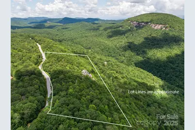 770 Meadow Ridge Drive, Lake Toxaway, NC 28747 - Photo 3