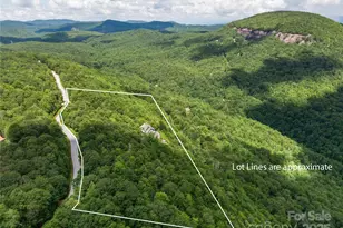 770 Mdw Rdg Dr, Lake Toxaway, NC 28747 - Photo 3