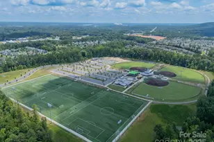 558 Red Wolf Ln, Clover, SC 29710 - Photo 19