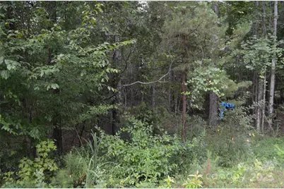 0 Old Morganton Road, Union Mills, NC 28139 - Photo 9