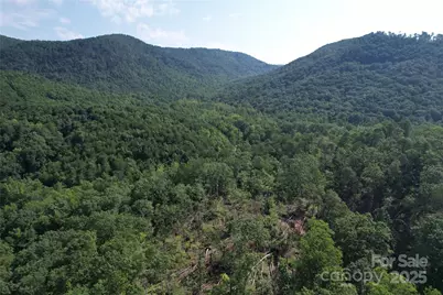 0 Camp McCall Road, Bostic, NC 28018 - Photo 3