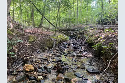 0 Camp McCall Road, Bostic, NC 28018 - Photo 5